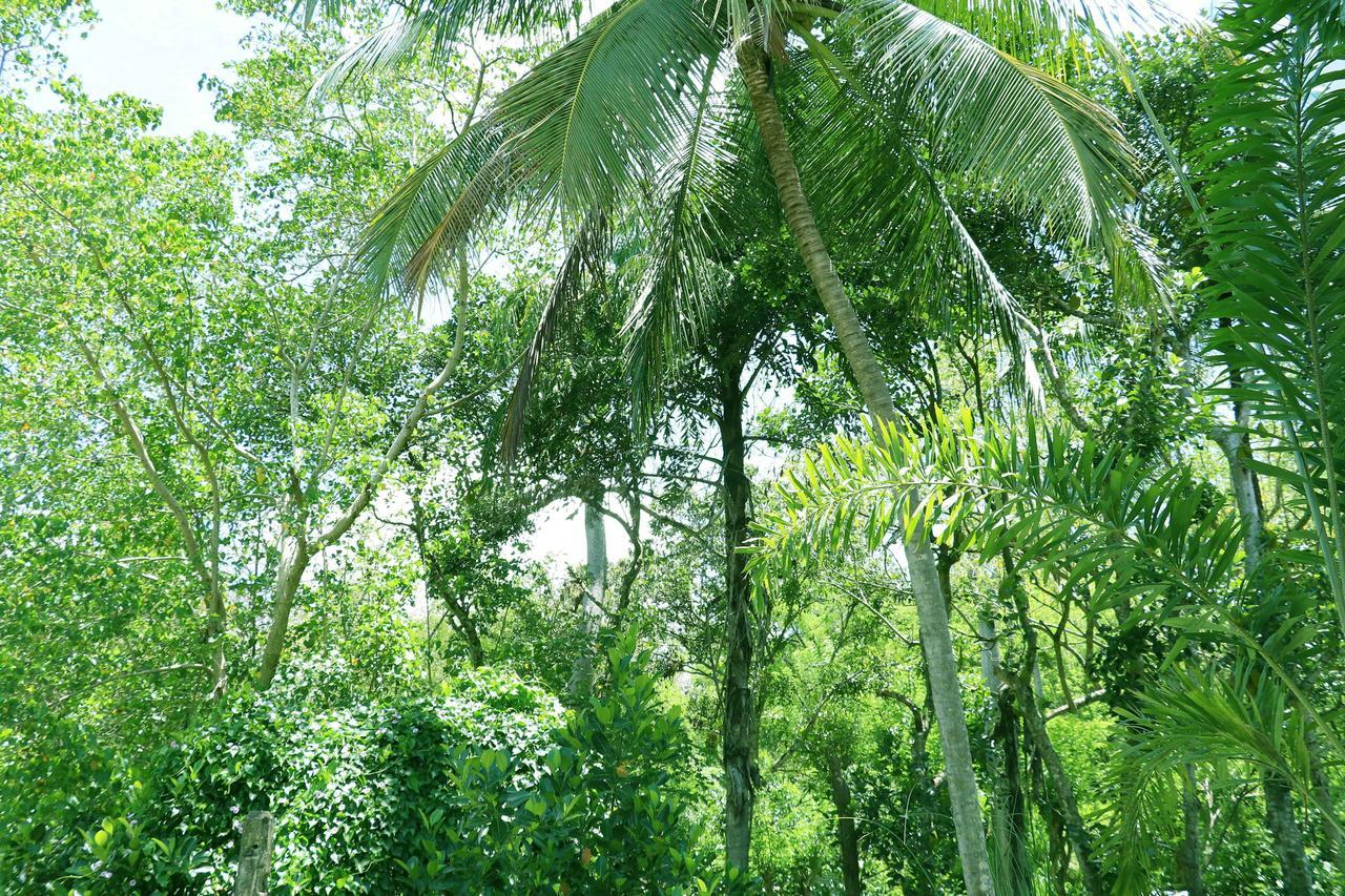 Villa Royce Kandy Exterior photo